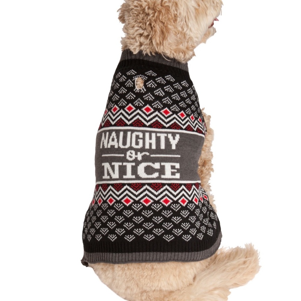 Vibrant Life Large Dog Sweater